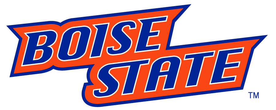 Boise State Broncos 2002-2012 Wordmark Logo v3 diy DTF decal sticker